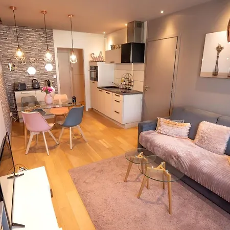 Daire La Plage Dalbigny - Apartment Classified Stars 100 M From The Lake